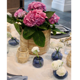 Glass Bud Vase