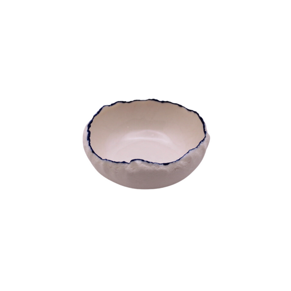 Blue Edge Dish