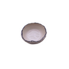 Blue Edge Dish