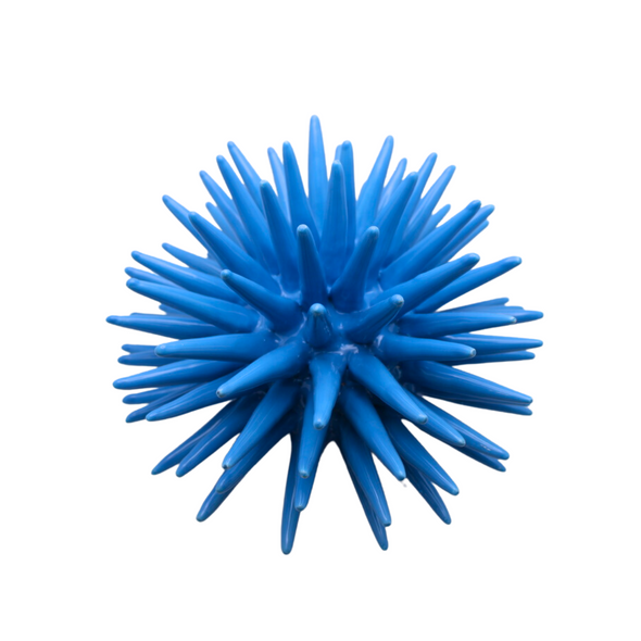 Ceramic Sea Urchin, Large