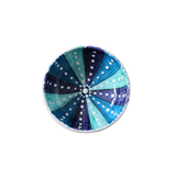 Sea Urchin Ice Cream Bowl