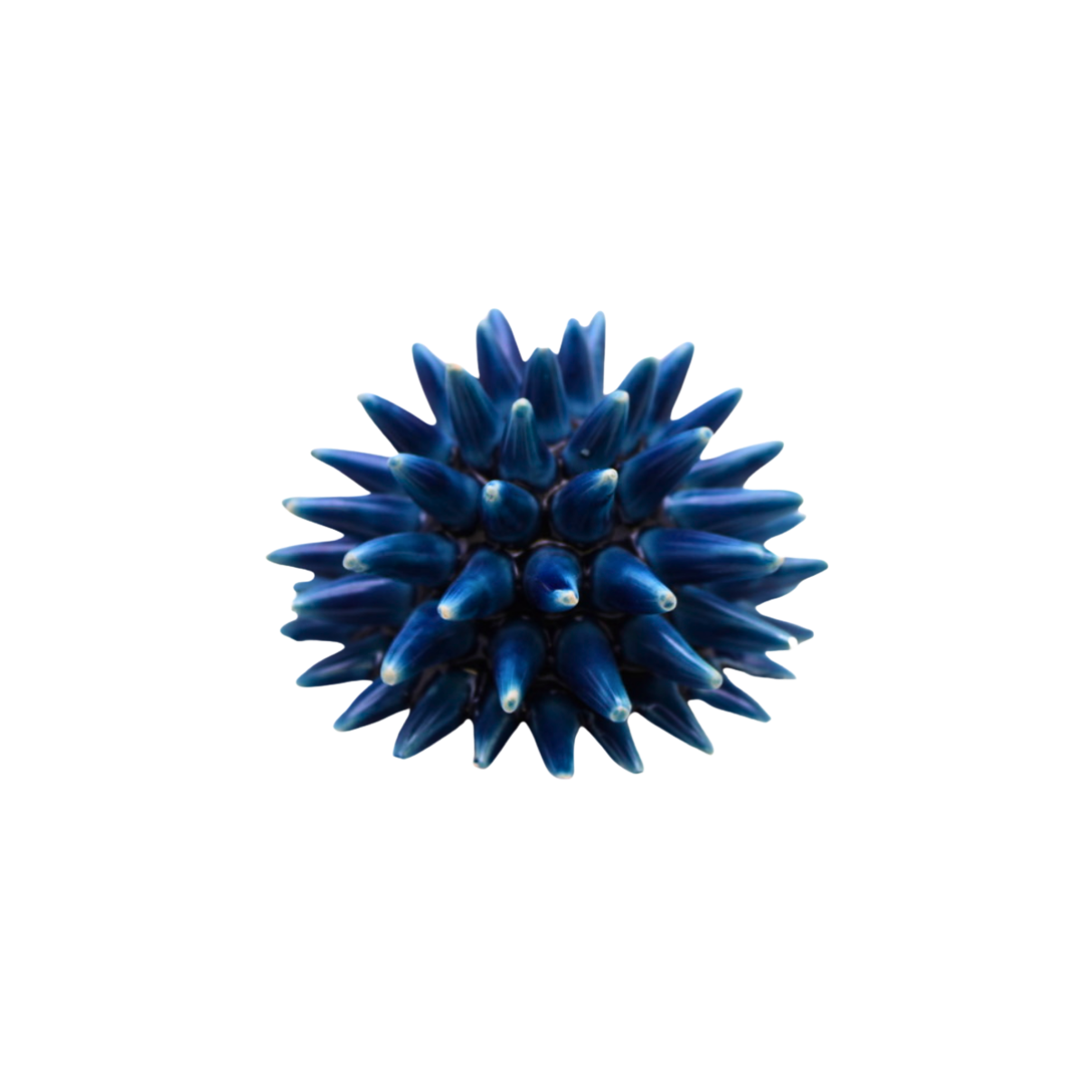 Ceramic Sea Urchin, Small, indigo blue ceramic with a spiky, spherical form, displayed on white.