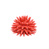 Ceramic Sea Urchin, Medium