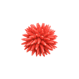 Ceramic Sea Urchin, Medium