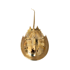 Sea Creature Brass Paperweight