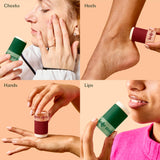 Holiday Everywhere Stick Duo