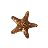 Sea Creature Bronze Paperweight