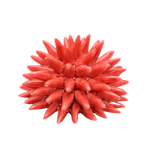 Ceramic Sea Urchin, Large, in vibrant coral red ceramic with a spiky, spherical shape, on a white background.