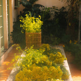 Golden Pollinator Candle