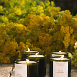 Golden Pollinator Candle