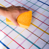 Elisabeth Coated Placemat