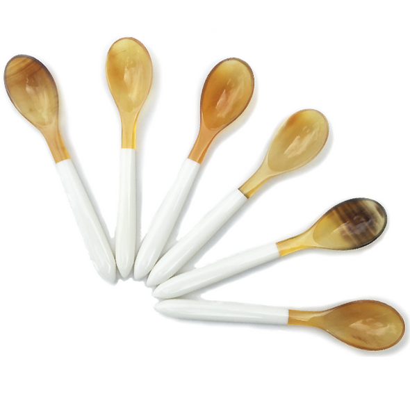 Assorted Resin and Horn Spoons, Set of 6